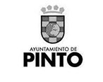 pinto